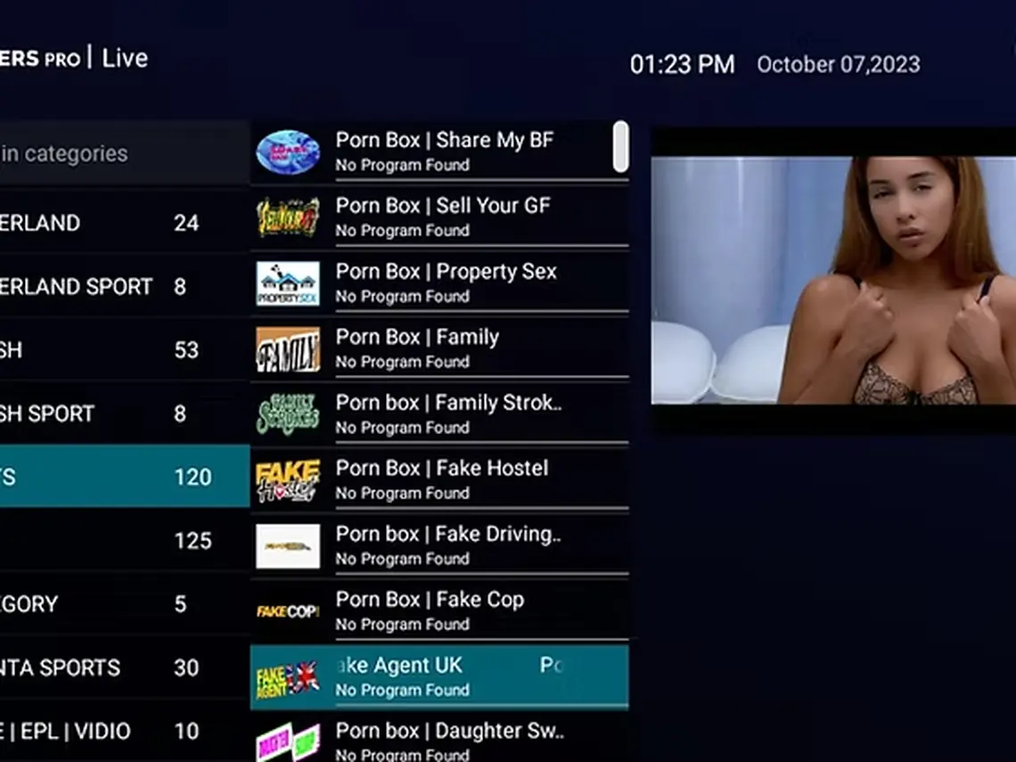 XXX IPTV shown as an 18+ category alongside standard channel groups